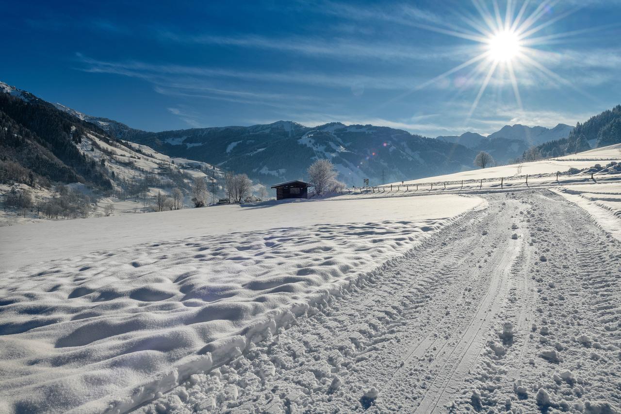 Bauernhofhotel "Die Unterbergerin" - Zimmer Mit Fruehstueck Und Ferienwohnungen In Gastein Mit Gratis Thermeneintritt Dorfgastein Bagian luar foto